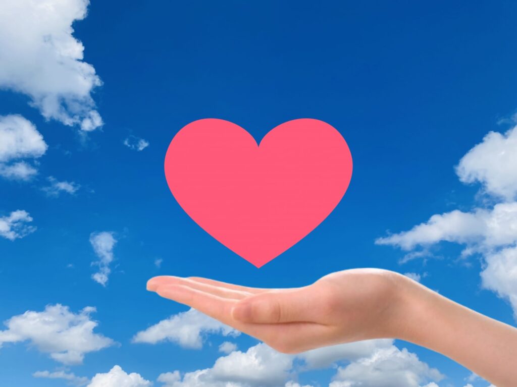 エコ洗剤、天然植物洗剤使用の取り組み